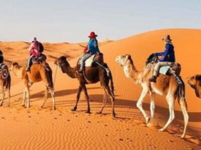 2 Days Desert Tour from Fes to Marrakech