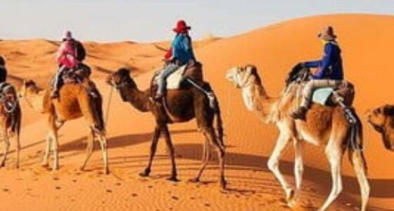 2 Days Desert Tour from Fes to Marrakech