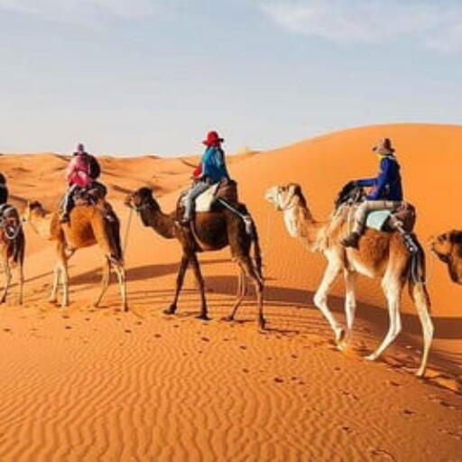 2 Days Desert Tour from Fes to Marrakech