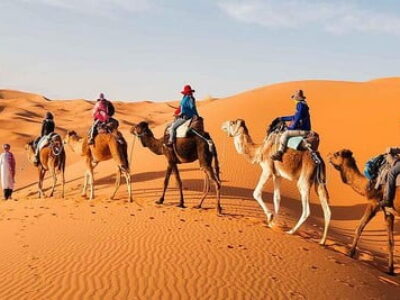 3 days Marrakech fes desert tour