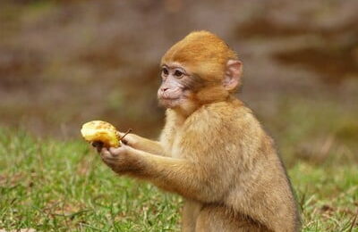 2 days Fes to Merzouga desert tour