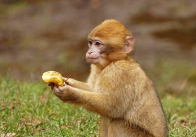 2 days Fes to Merzouga desert tour