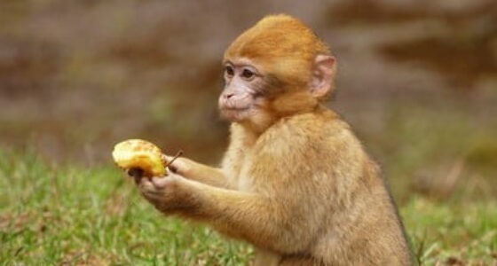 2 days Fes to Merzouga desert tour