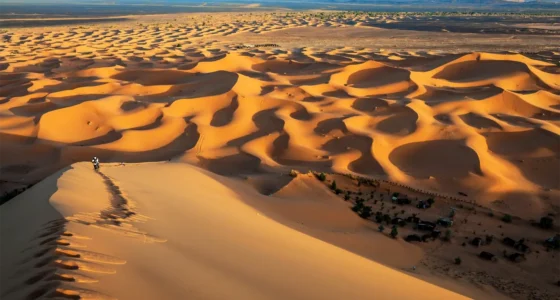 Fes To Marrakech Desert Tour 3 Days