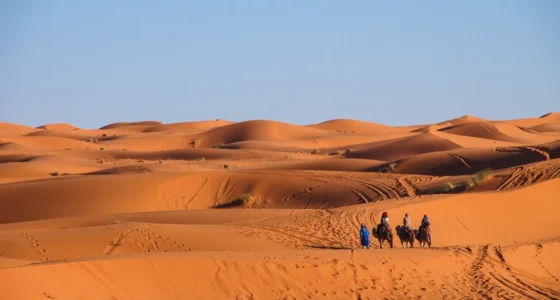 4 Days Tour from Marrakech to Fes