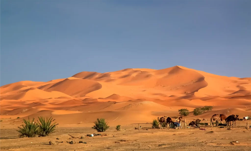 Fes To Marrakech Desert Tour 3 Days 5 Private Morocco Tours; Luxury Desert Safaris