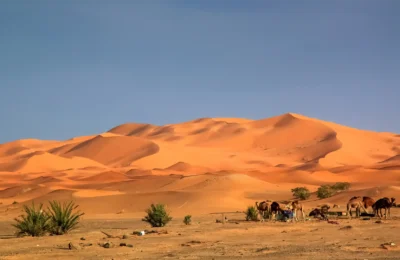 2 Days Sahara Desert Tour from Marrakech to Fes