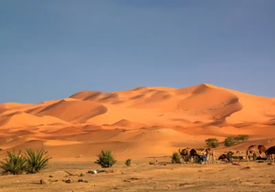 2 Days Sahara Desert Tour from Marrakech to Fes