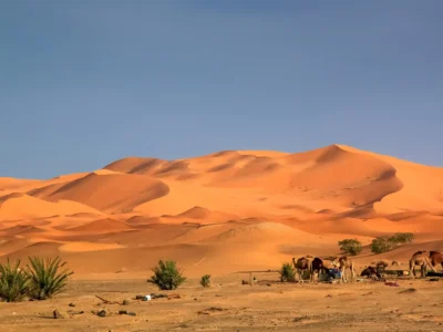 2 Days Desert Tour from Marrakech to Fes