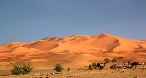 2 Days Sahara Desert Tour from Marrakech to Fes