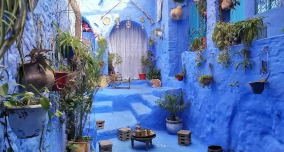 Fes to Chefchaouen Day Trip