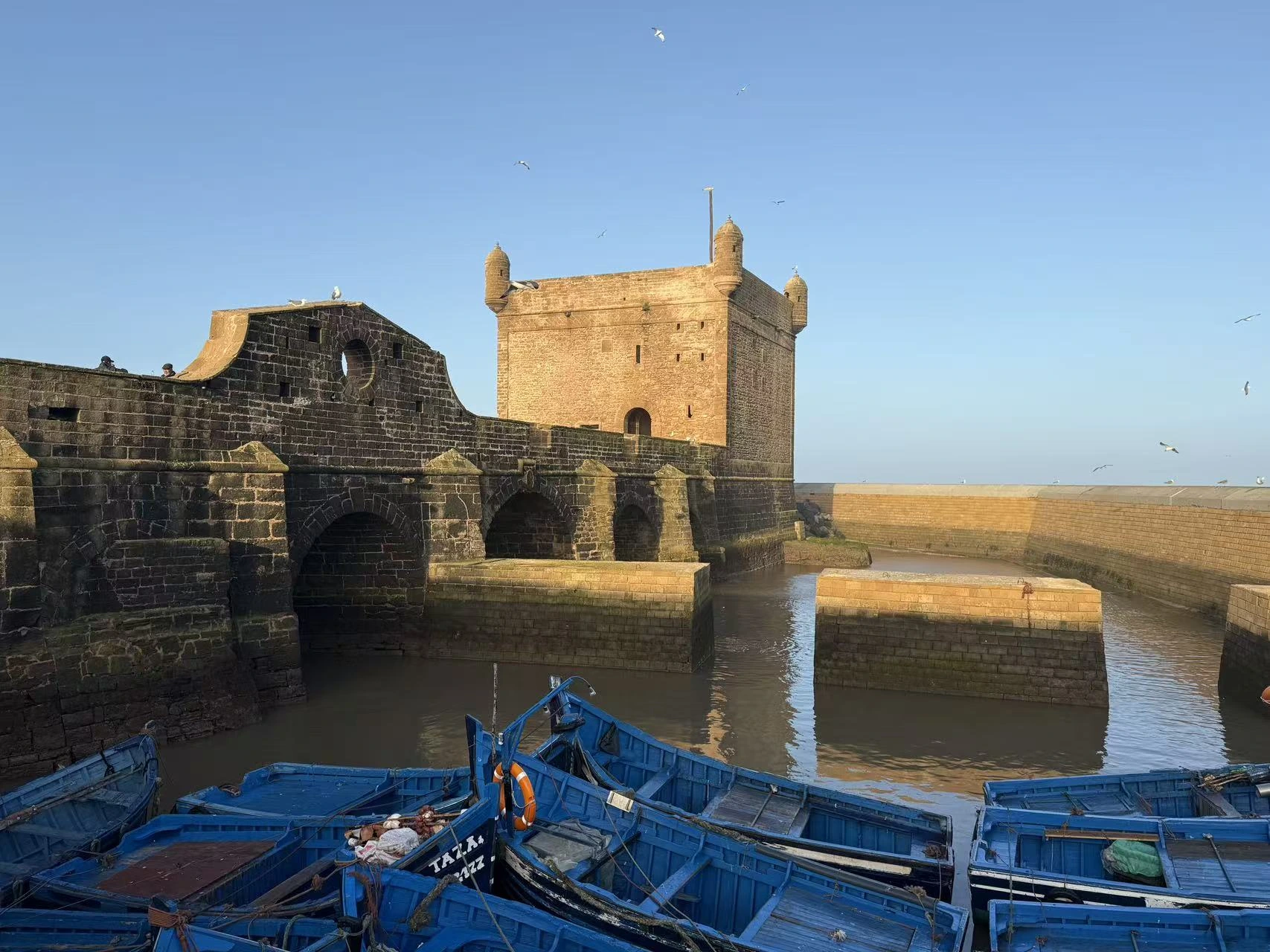 Essaouira Day Trip from Marrakech