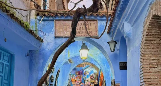 9 Day from Casablanca