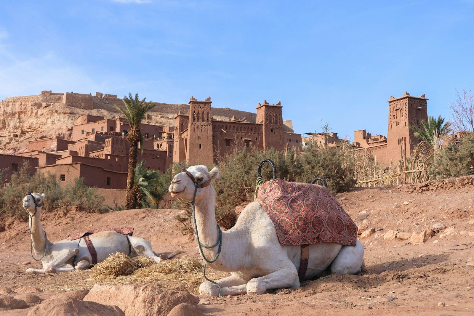 13 Days Morocco Tour from Casablanca