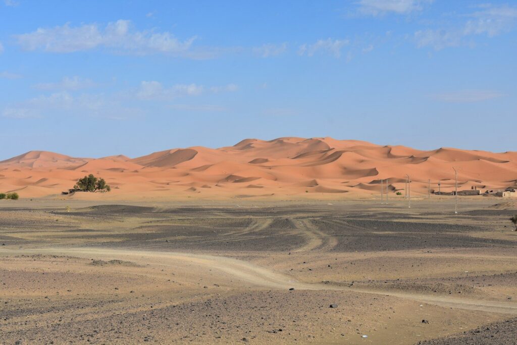 a desert landscape with a few trees