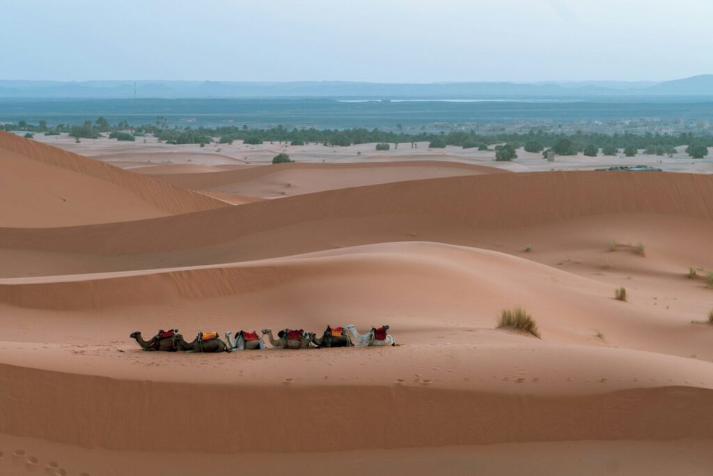 3 Days Marrakech to Merzouga Desert Tour