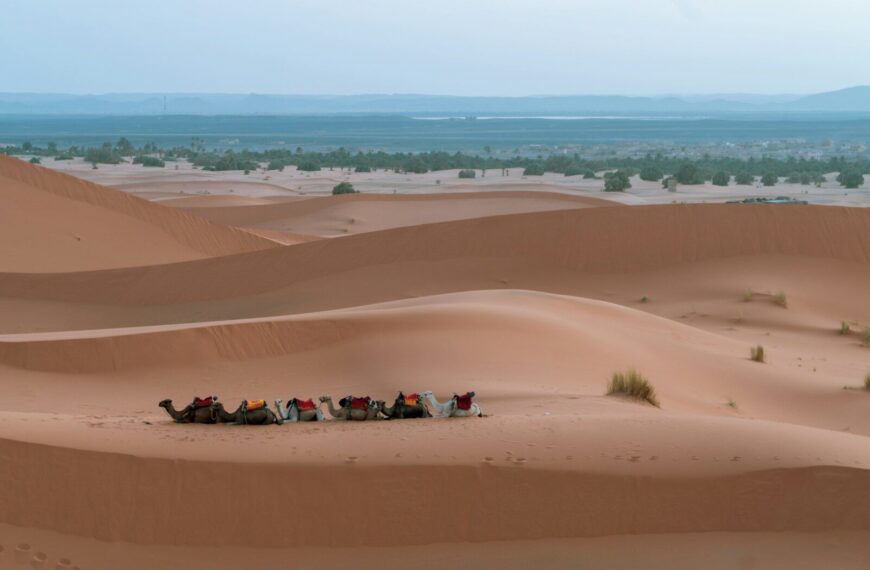 3 Days Marrakech to Merzouga Desert Tour