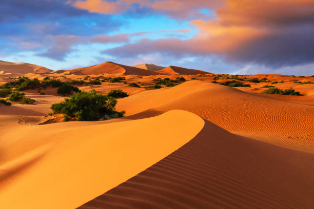 Sahara Desert, Morocco