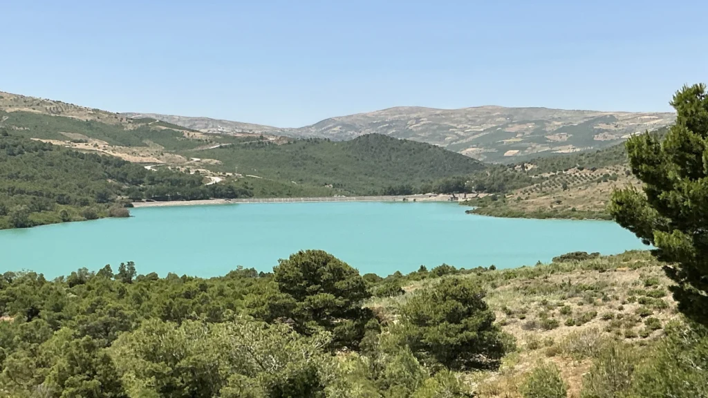 dam nakhla