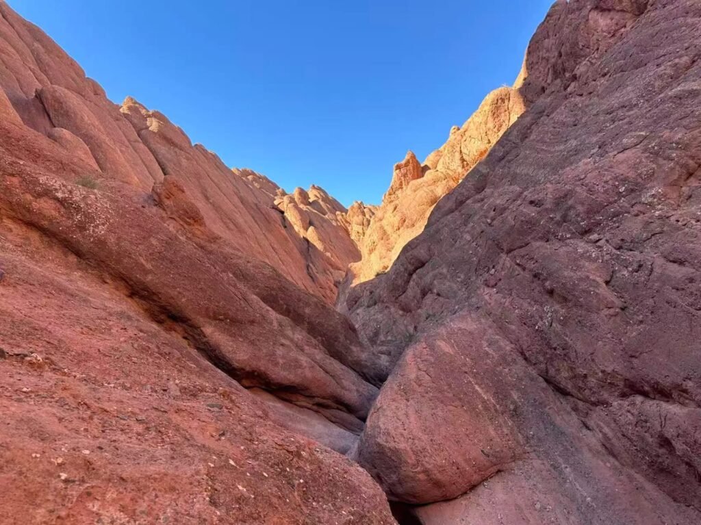 dades trekk